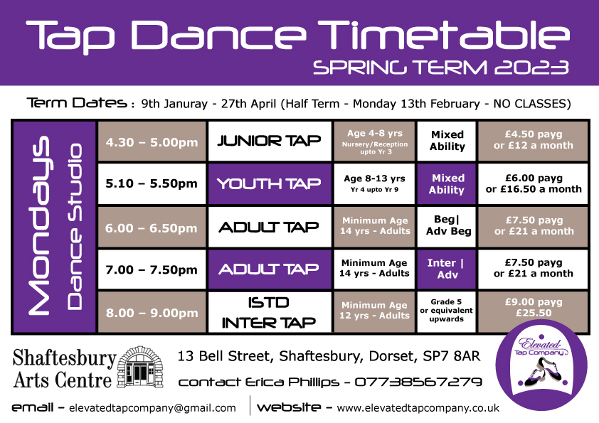 SHAFTESBURY ARTS CENTRE